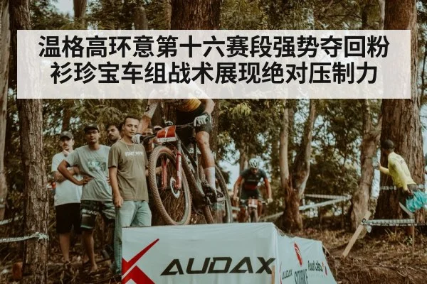 温格高环意第十六赛段强势夺回粉衫珍宝车组战术展现绝对压制力（kaiyun）